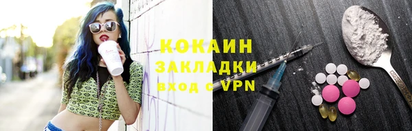 гашик Костерёво