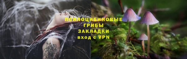 дмт Балахна