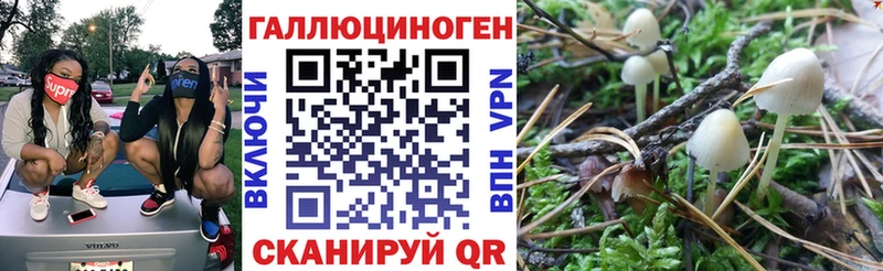 даркнет сайт  Грайворон  Галлюциногенные грибы MAGIC MUSHROOMS 